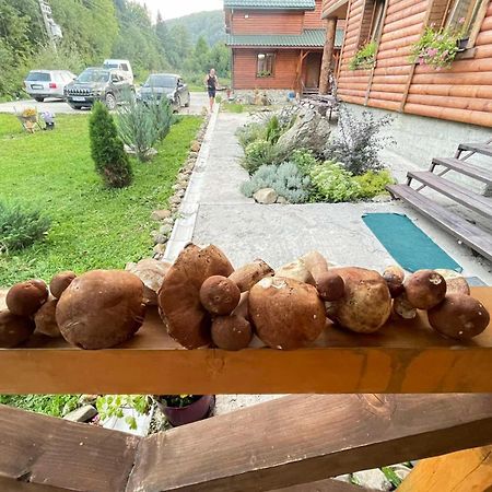 Villa Na Uzlissi Migowo Zewnętrze zdjęcie