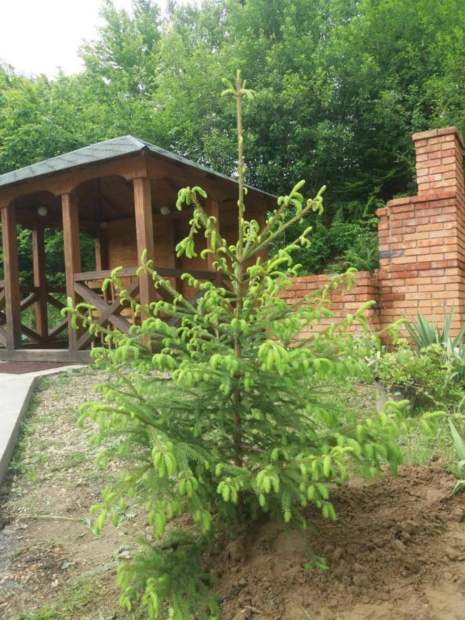 Villa Na Uzlissi Migowo Zewnętrze zdjęcie