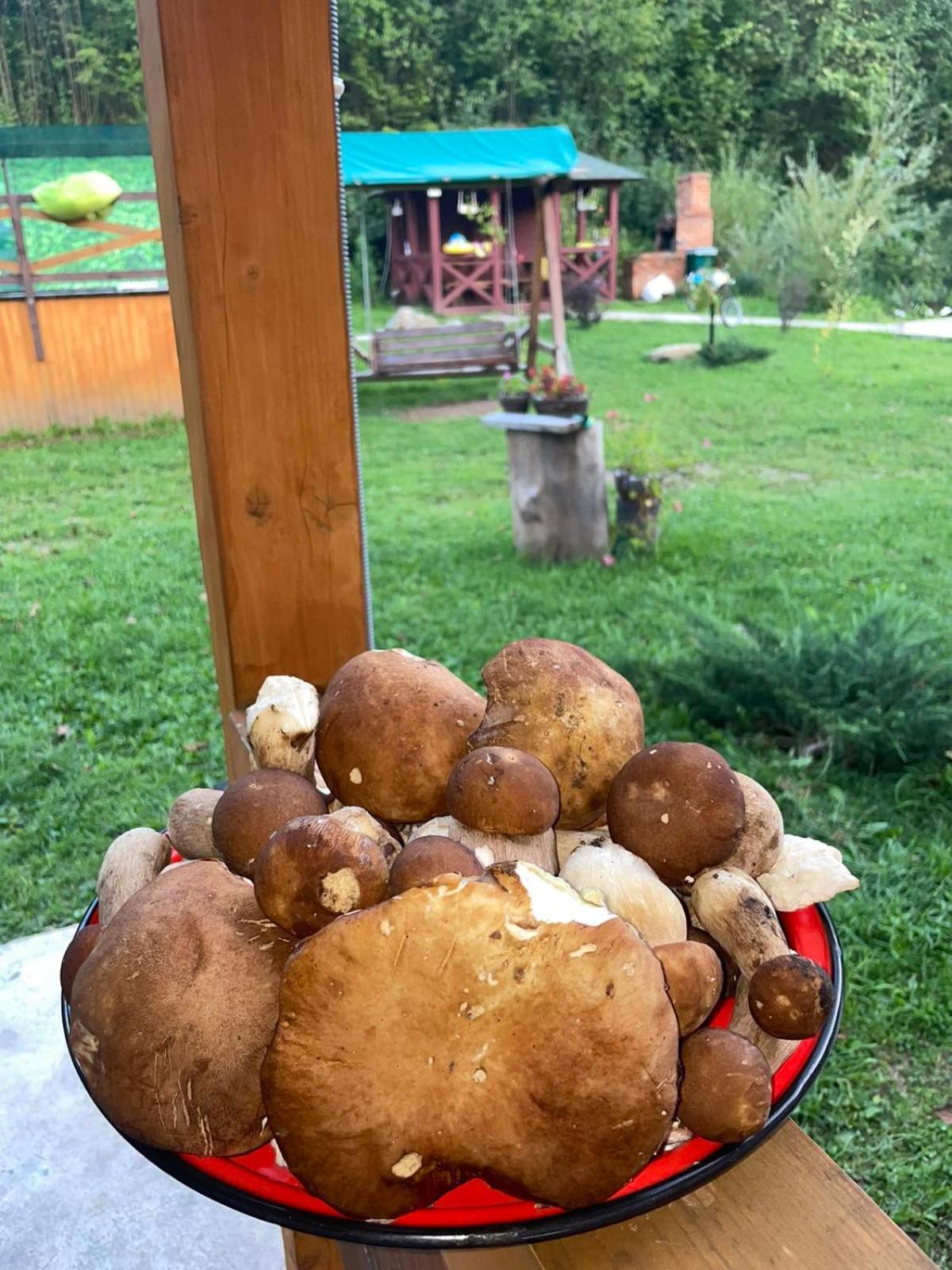 Villa Na Uzlissi Migowo Zewnętrze zdjęcie